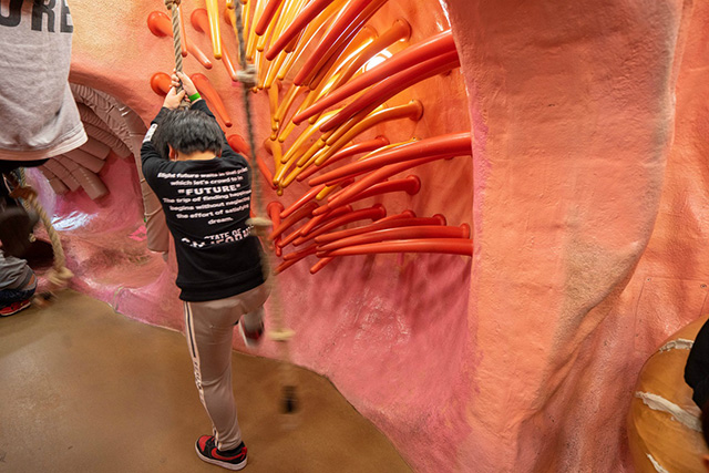 マチカネワニの大型遊具/堺市立ビッグバン(大阪府)