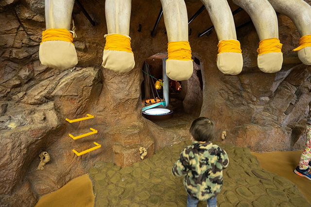 マチカネワニの骨格/堺市立ビッグバン(大阪府)