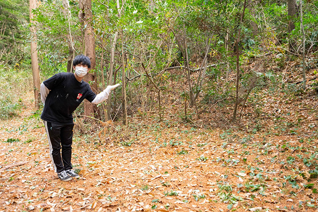 スタッフさん/堺市立ビッグバン(大阪府)