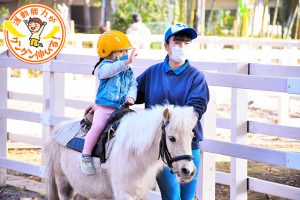 東板橋公園・板橋こども動物園(板橋区)は、ポニーに乗ったりモルモットに餌があげられる、動物との触れあいが楽しい公園!