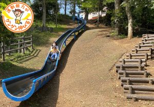 西台公園(板橋区)は森のなかに全長30mのロング滑り台がある板橋最後の秘境