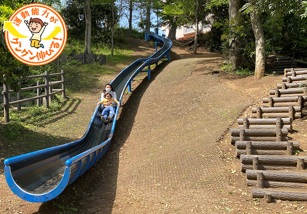 西台公園（板橋区）は森のなかに全長30mのロング滑り台がある板橋最後の秘境