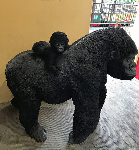 ユニークな撮影スポット/京都市動物園（京都府/京都市）