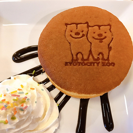 ヤブイヌパンケーキ/京都市動物園（京都府/京都市）