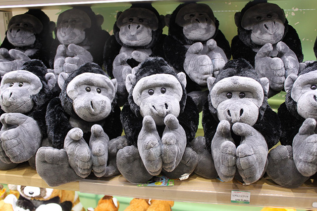 リアルニシゴリラ/京都市動物園（京都府/京都市）