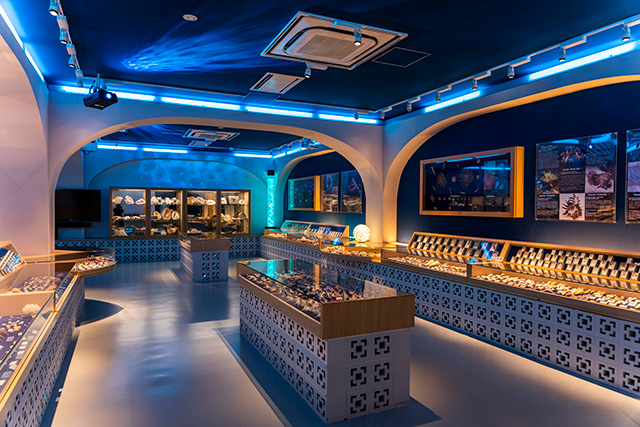 シェルミュージアム/古宇利オーシャンタワー(沖縄県/今帰仁村)