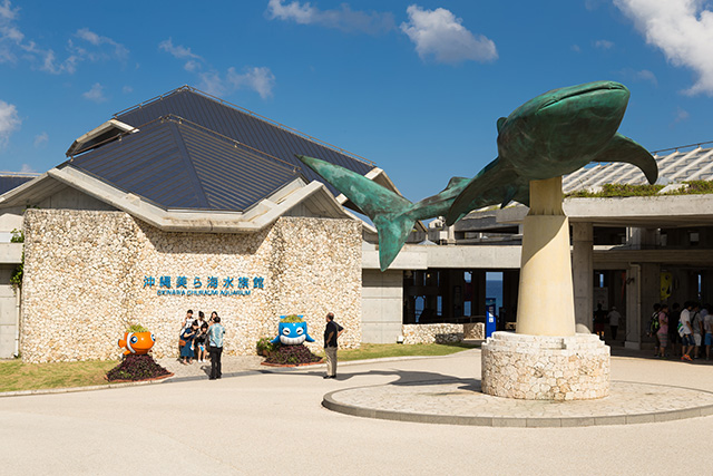 美ら海水族館(沖縄県/本部町)