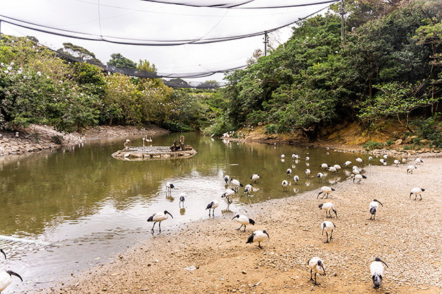 ネオパークオキナワ(沖縄県/名護市)