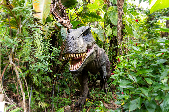DINO恐竜PARK/御菓子御殿 名護店(沖縄県/名護市)