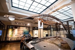 脳医学者の瀧 靖之先生に聞く！子どもの成長に必要な「知的好奇心」と「8つの力」