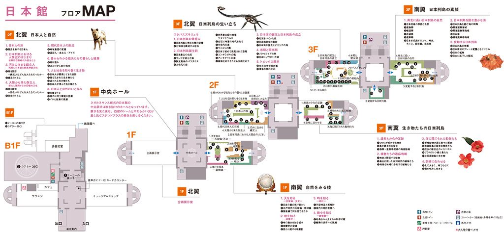日本館フロアマップ/国立科学博物館（東京都/台東区）