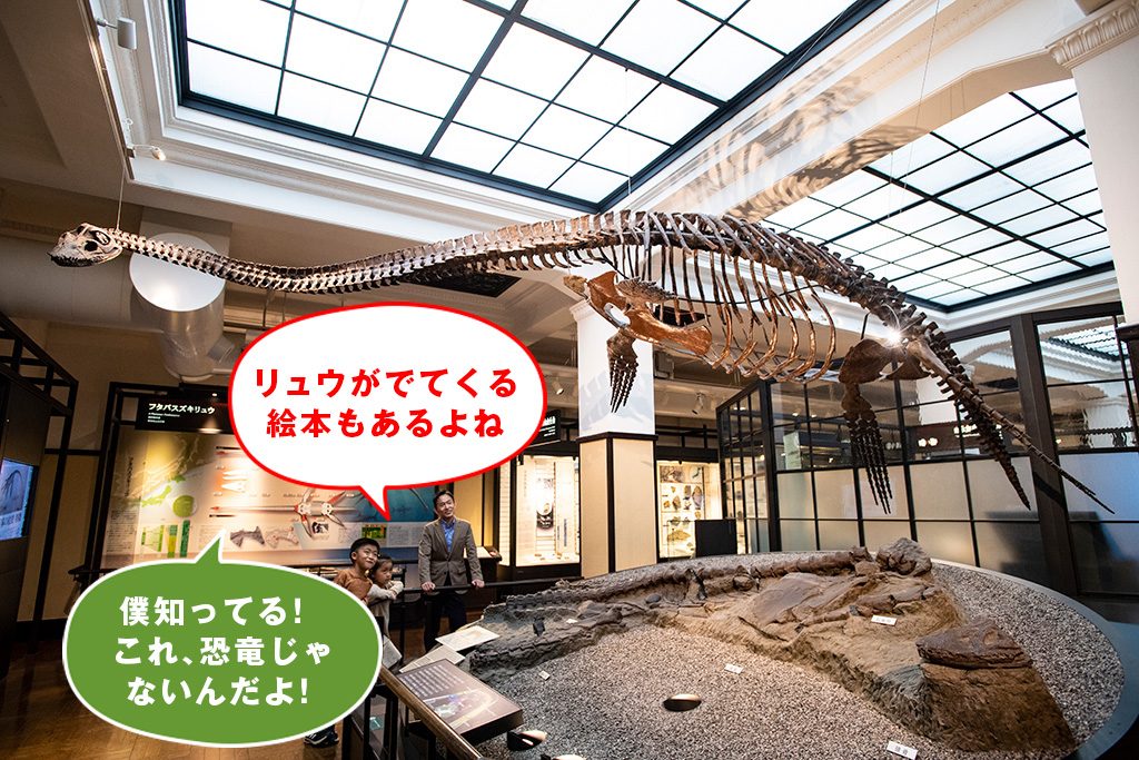 フタバスズキリュウ/国立科学博物館（東京都/台東区）