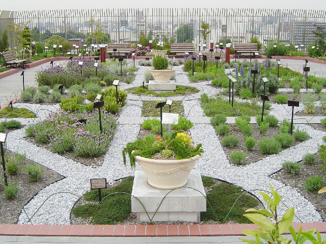 ハーブガーデン/国立科学博物館（東京都/台東区）