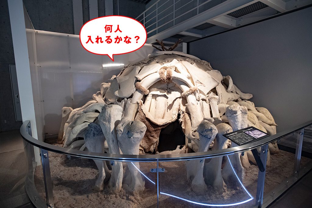 マンモスの骨を利用した住居の復元/国立科学博物館（東京都/台東区）