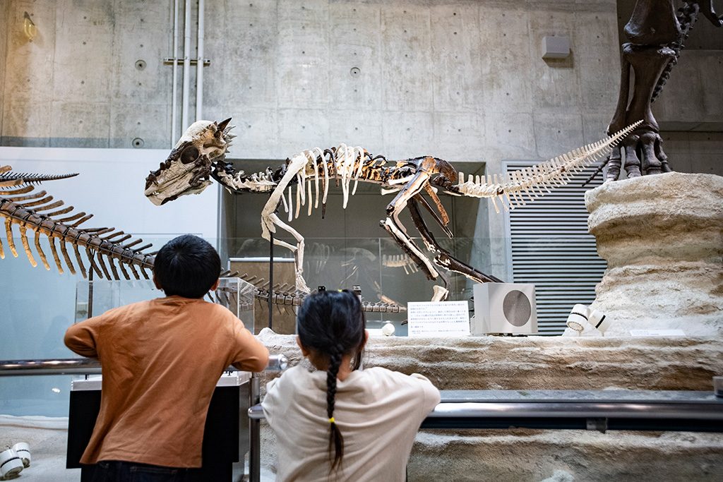 パキケファロサウルス/国立科学博物館（東京都/台東区）