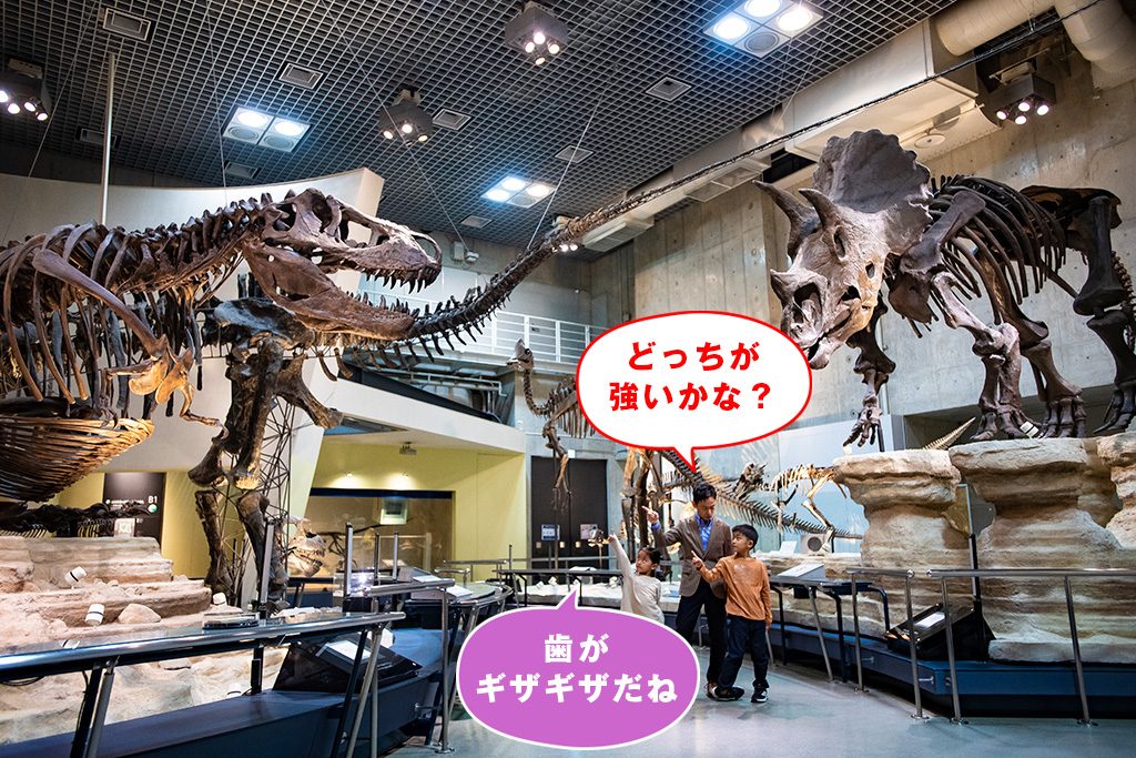 ティラノVSトリケラ/国立科学博物館（東京都/台東区）
