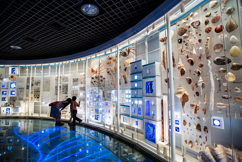 系統広場/国立科学博物館（東京都/台東区）