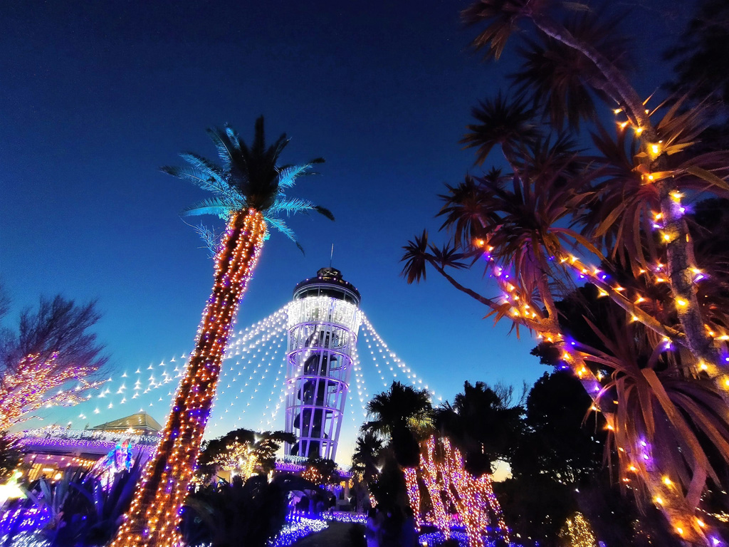 またたく光に包まれていく苑内／江の島シーキャンドル（神奈川県／藤沢市）