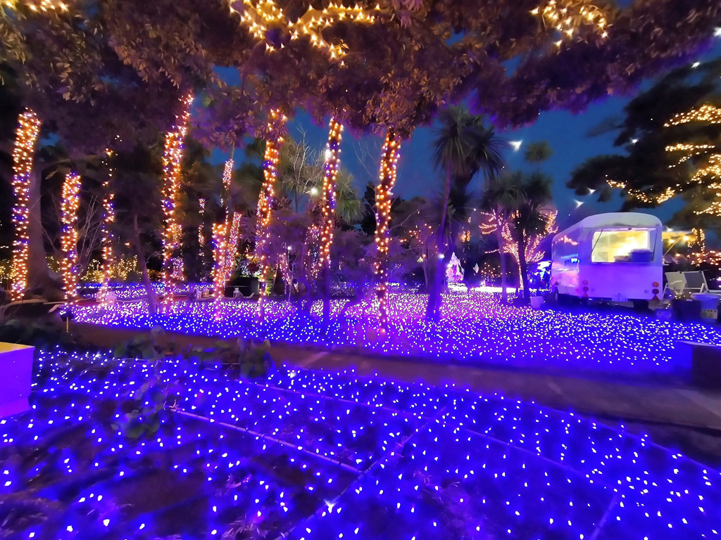 「ホウセキFOREST」／江の島シーキャンドル（神奈川県／藤沢市）