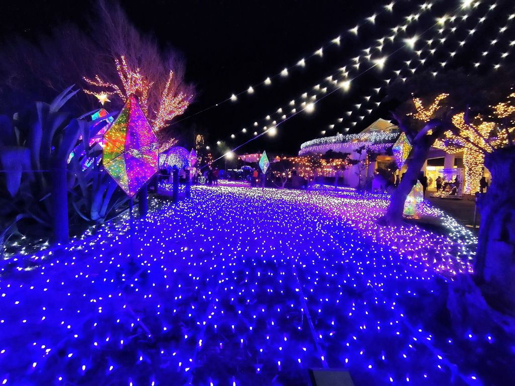 無数のイルミで彩られた小路が続く／江の島シーキャンドル（神奈川県／藤沢市）