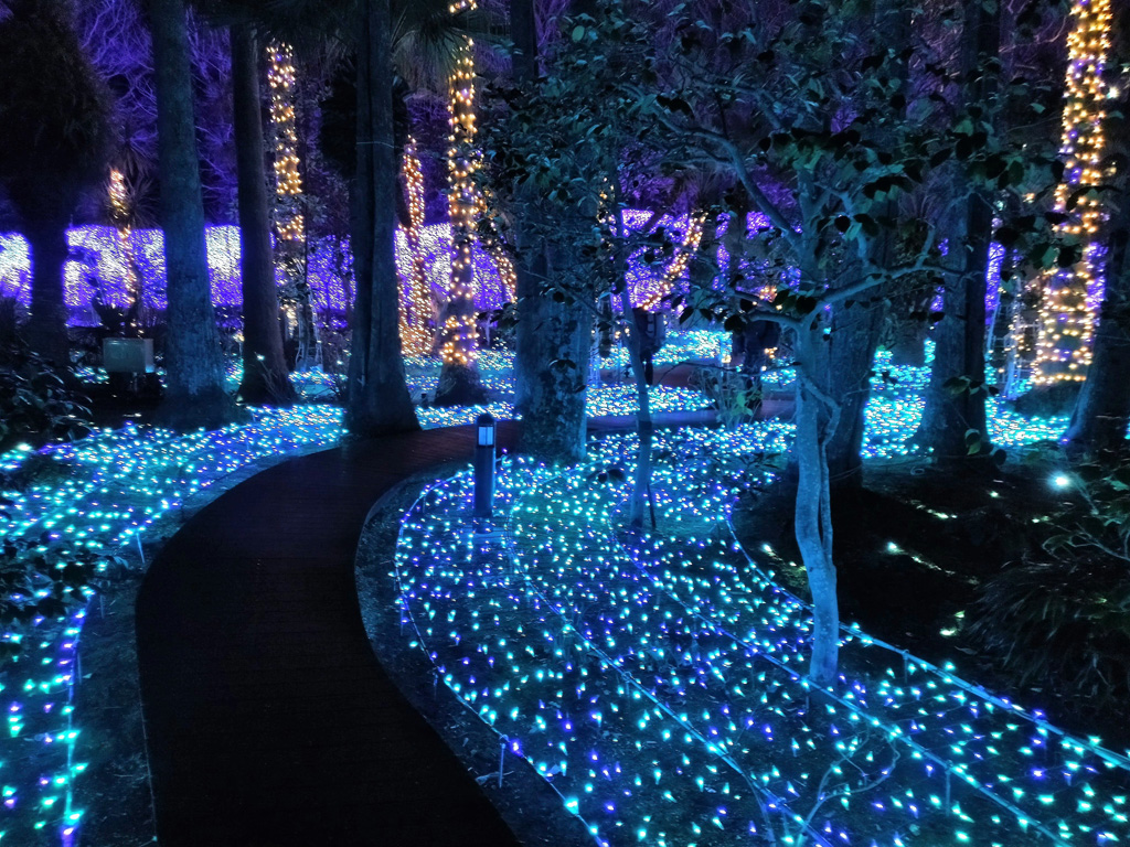 静寂さある美しいポイント／江の島シーキャンドル（神奈川県／藤沢市）