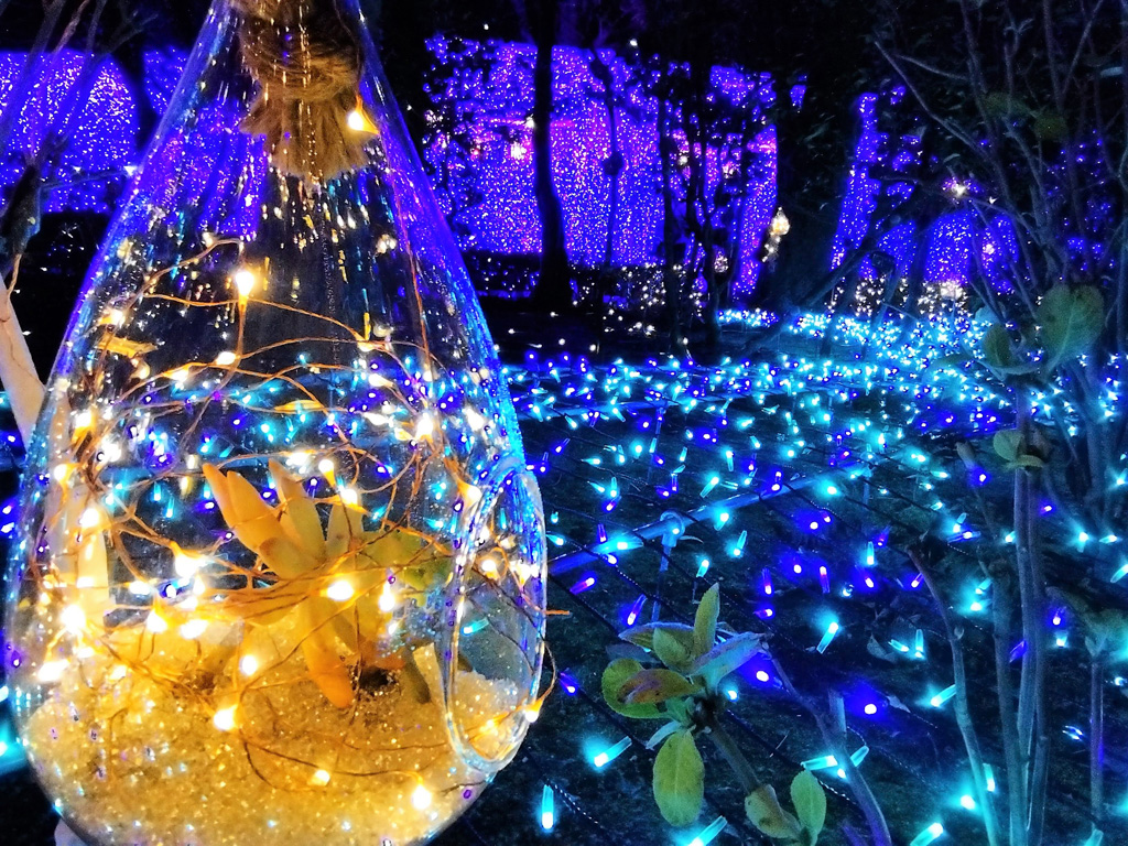 光にきらめく、美しい花のアレンジ／江の島シーキャンドル（神奈川県／藤沢市）