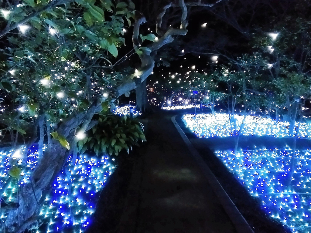 江の島シーキャンドル（神奈川県／藤沢市）