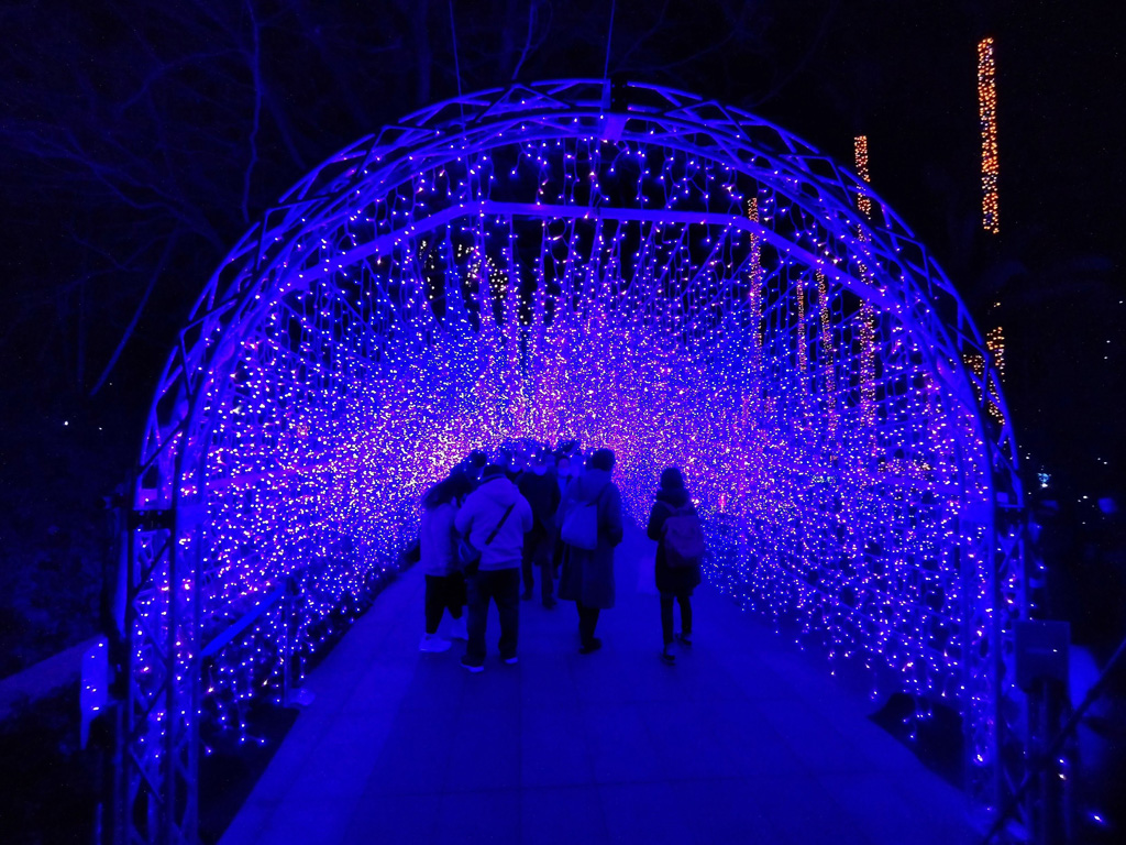 「湘南シャンデリア」／江の島シーキャンドル（神奈川県／藤沢市）