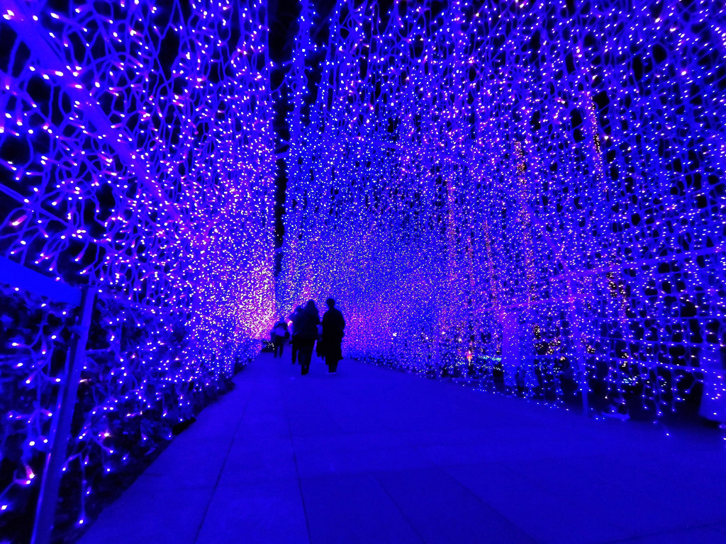 真っ青な光に包まれる幻想世界が広がる／江の島シーキャンドル（神奈川県／藤沢市）