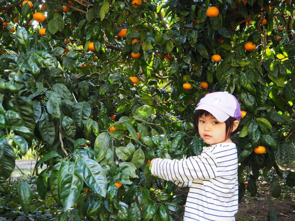 千倉オレンジセンター（千葉県/南房総市）