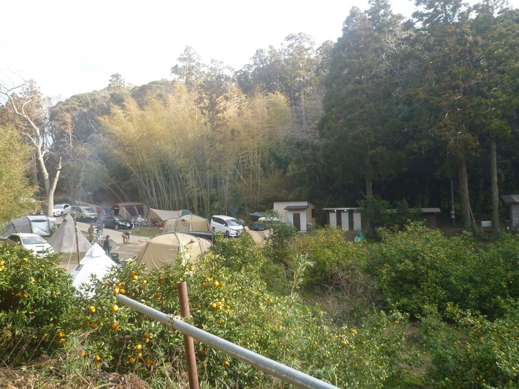 第2キャンプ場/千倉オレンジセンター（千葉県/南房総市）