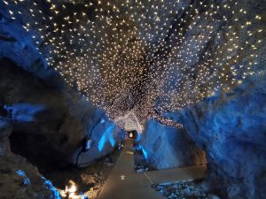 子どもにおすすめ江の島観光コース！最奥の洞窟「江の島岩屋」までアドベンチャー体験