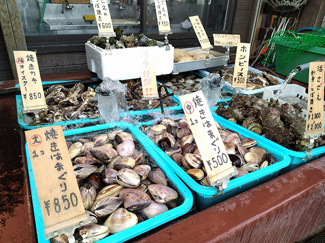 江ノ島の店舗で販売されている貝類（神奈川県/藤沢市）