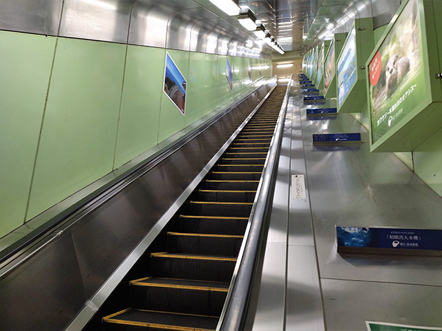 「江の島エスカ―」（（神奈川県/藤沢市）