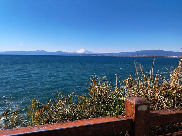 江の島岩屋への散策道（神奈川県/藤沢市）