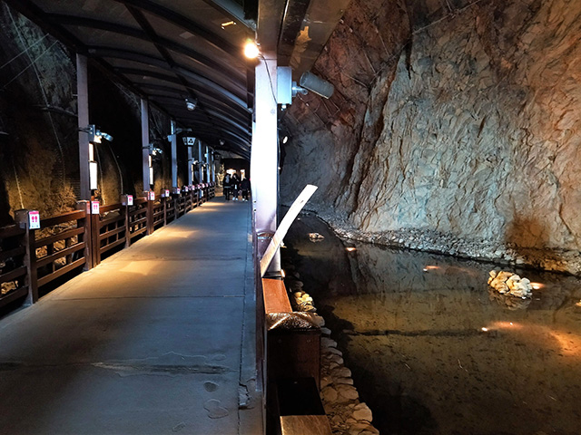 洞窟内/江の島岩屋（神奈川県/藤沢市）