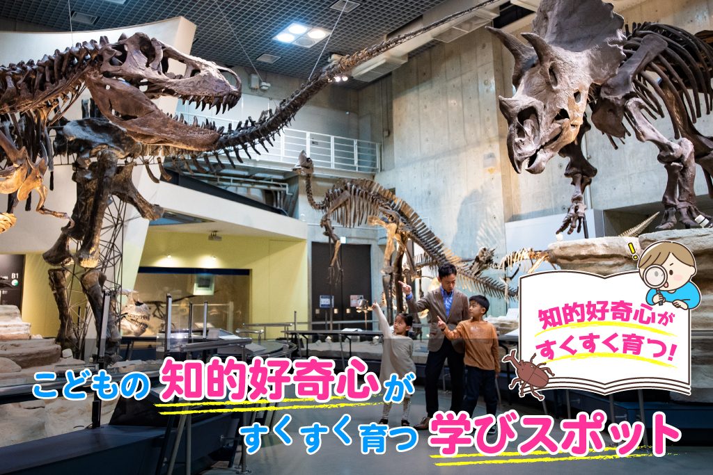 こどもの知的好奇心がすくすく育つ学びスポット