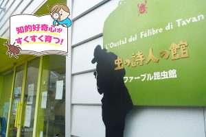 ファーブル昆虫館（東京都）で昆虫に親しむきっかけを作ろう！