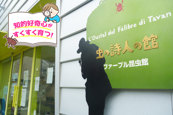 ファーブル昆虫館（東京都/文京区）