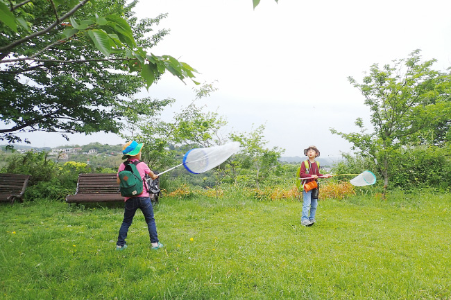 イベントに参加する様子/ファーブル昆虫館（東京都/文京区）