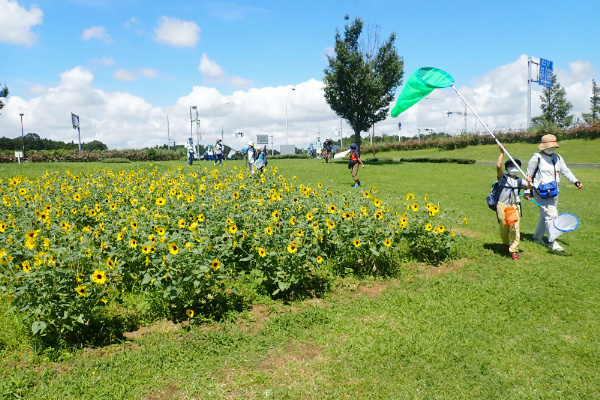 イベントの様子/ファーブル昆虫館（東京都/文京区）