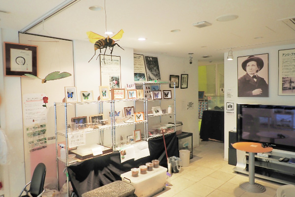 館内売店/ファーブル昆虫館（東京都/文京区）