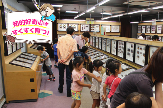 蝶のひろば 株式会社サガミ（神奈川県/横須賀市）