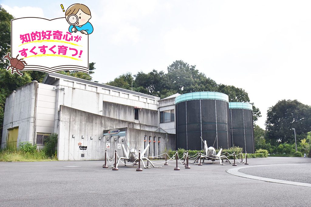 多摩動物公園 昆虫園（東京都/日野市）