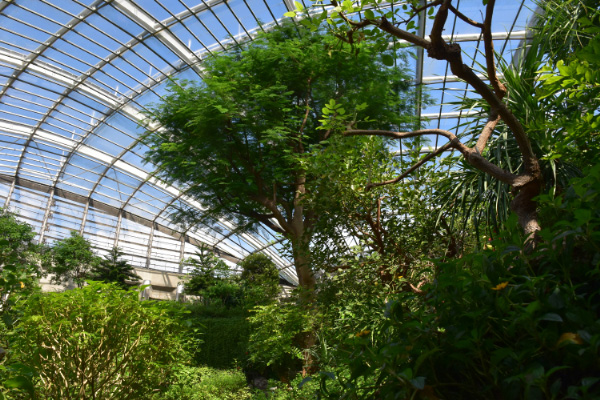 /多摩動物公園 昆虫園(東京都/日野市)
