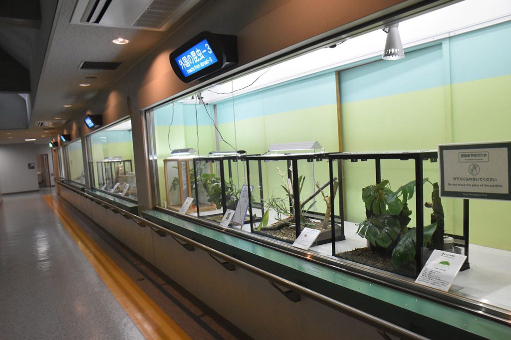 「外国産昆虫コーナー」/多摩動物公園 昆虫園(東京都/日野市)