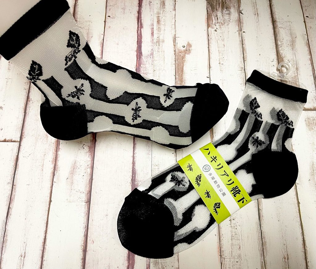 ハキリアリグッズ/多摩動物公園 昆虫園(東京都/日野市)