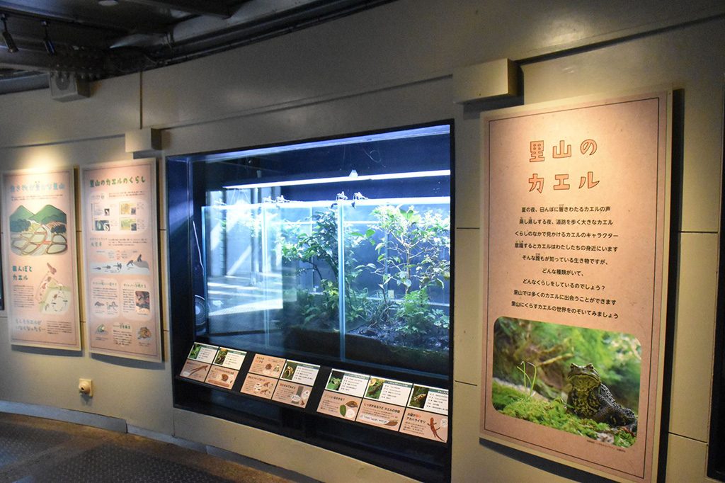 /多摩動物公園 昆虫園(東京都/日野市)