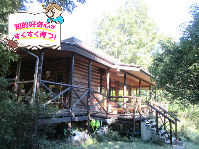 /オオムラサキの森活動センター（埼玉県/嵐山町）