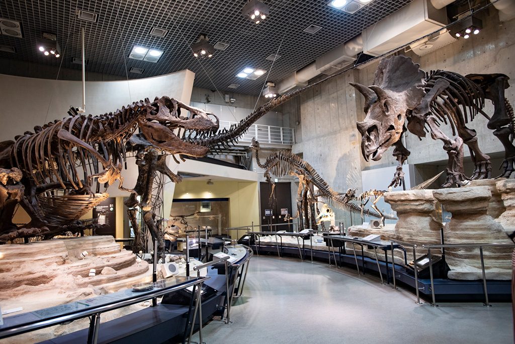 国立科学博物館（東京都）